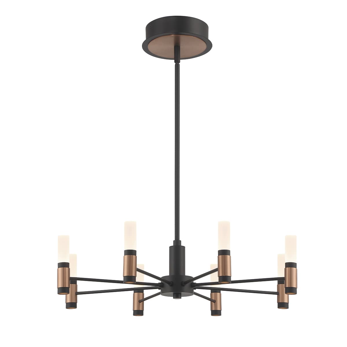 Albany 8 Light Chandeliers In Brass-Black — view 3